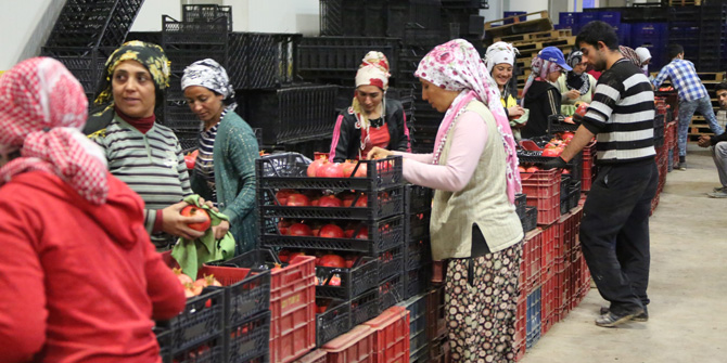 Deppo Efes, Selçuklu çiftçinin yüzünü güldürüyor