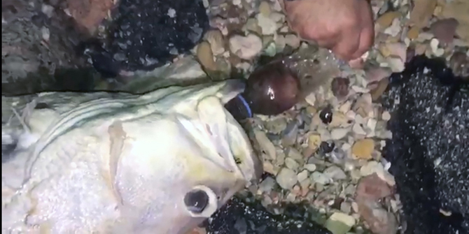 İzmir'de acı manzara! Böyle bulundu