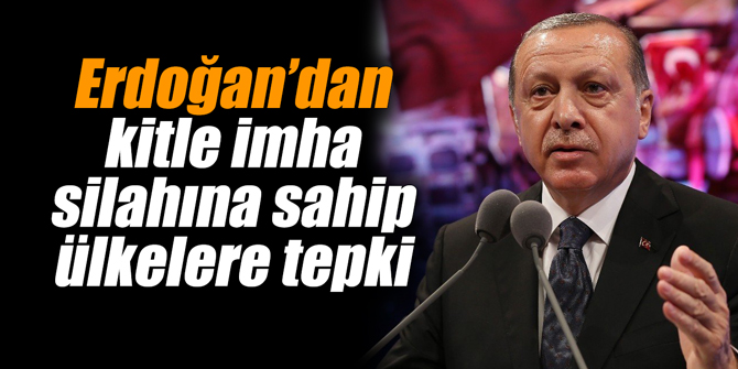 Kitle imha silahına sahip ülkelere Cumhurbaşkanı Erdoğan'dan tepki