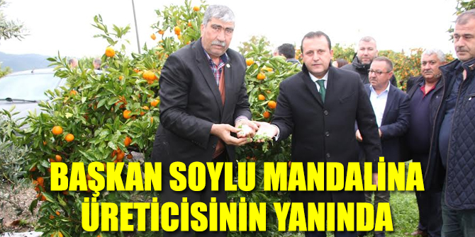 Başkan Bülent Soylu Mandalina Üreticisinin Yanında