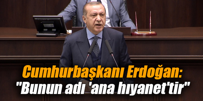 Cumhurbaşkanı Erdoğan: "Bunun adı 'ana hıyanet'tir"