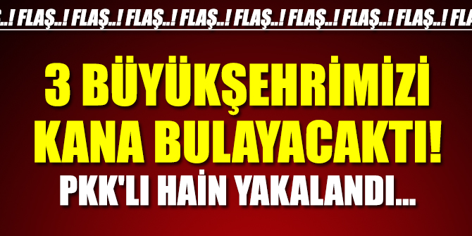 3 büyükşehrimizi kana bulayacak PKK'lı yakalandı