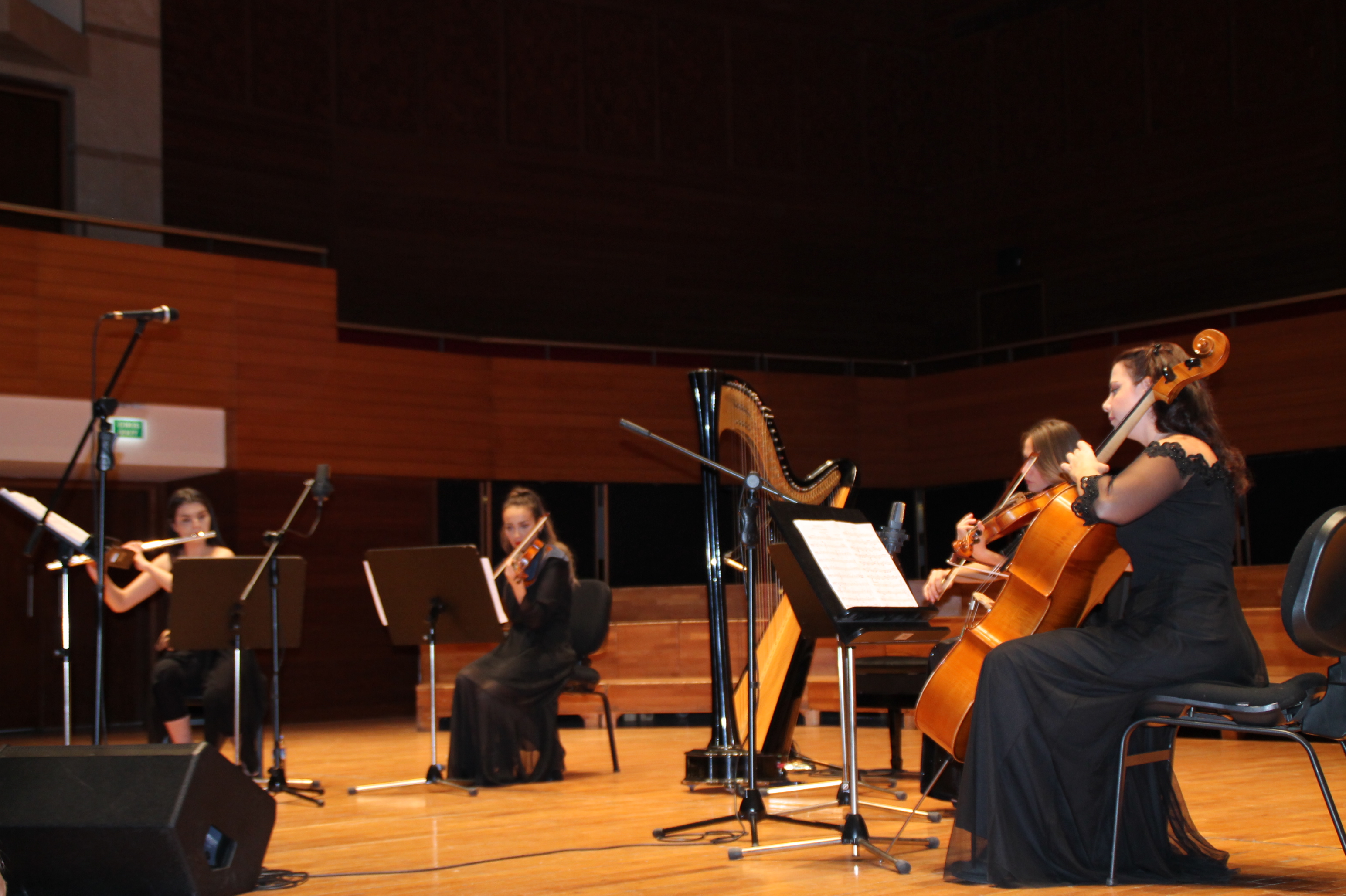 Sağlıklı Yaşam için Konser Verdiler
