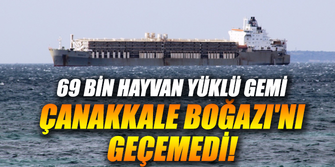 Çanakkale Boğazı'nı geçemedi!