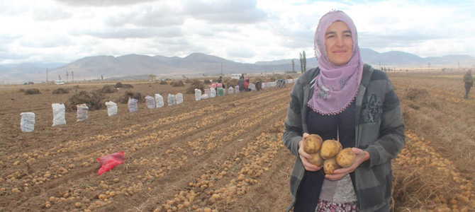 Çiftçilerin borçları 1 yıl ertelendi