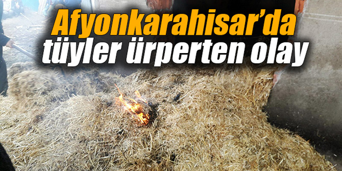 Afyonkarahisar’da tüyler ürperten olay