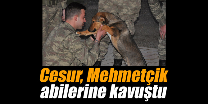 Cesur, Mehmetçik abilerine kavuştu