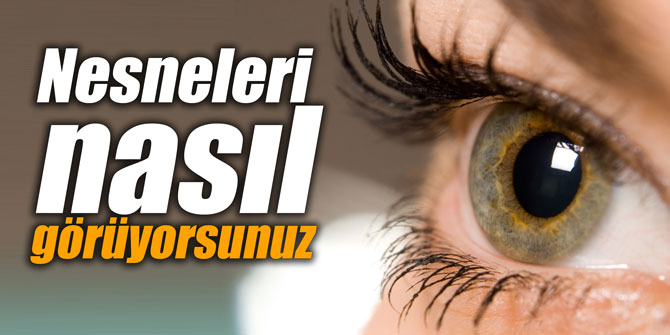 Nesneleri nasıl görüyorsunuz
