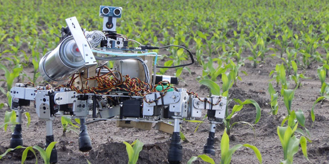 14 kişinin işini yapabilen 'çiftçi robotlar' geliyor