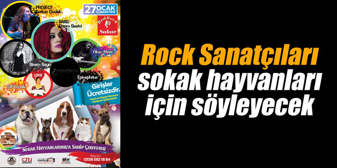Rock Sanatçıları Sokak Hayvanları İçin Söyleyecek