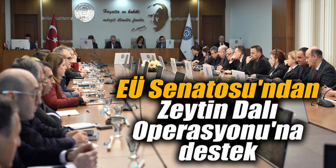EÜ Senatosu'ndan Zeytin Dalı Operasyonu'na destek