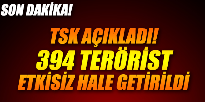 TSK açıkladı! 394 terörist etkisiz hale getirildi