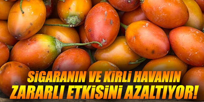 Sigaranın ve kirli havanın zararlı etkisini azaltıyor!