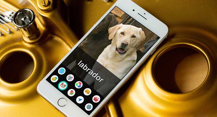 Görme engelliler bu uygulamayla nesneleri tanıyacak