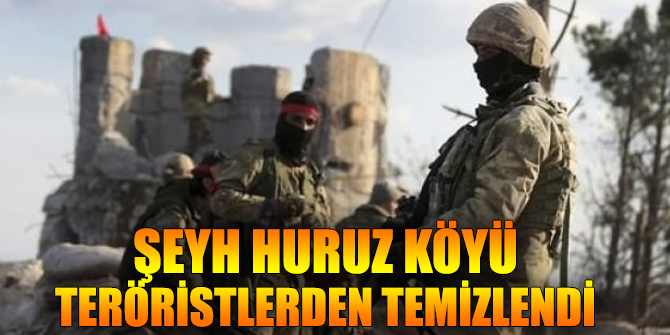 Şeyh Huruz köyü teröristlerden temizlendi