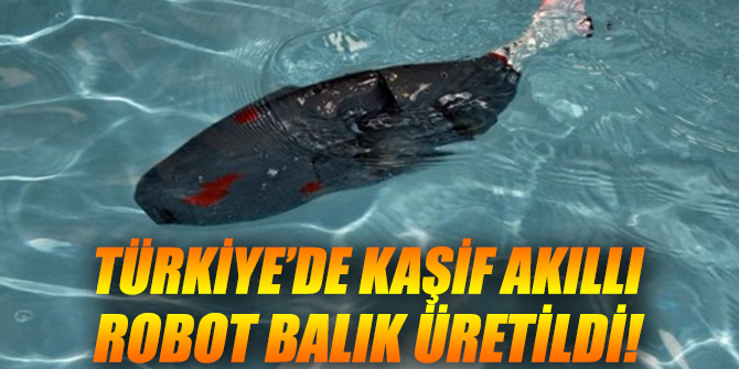 Kaşif akıllı robot balık üretildi