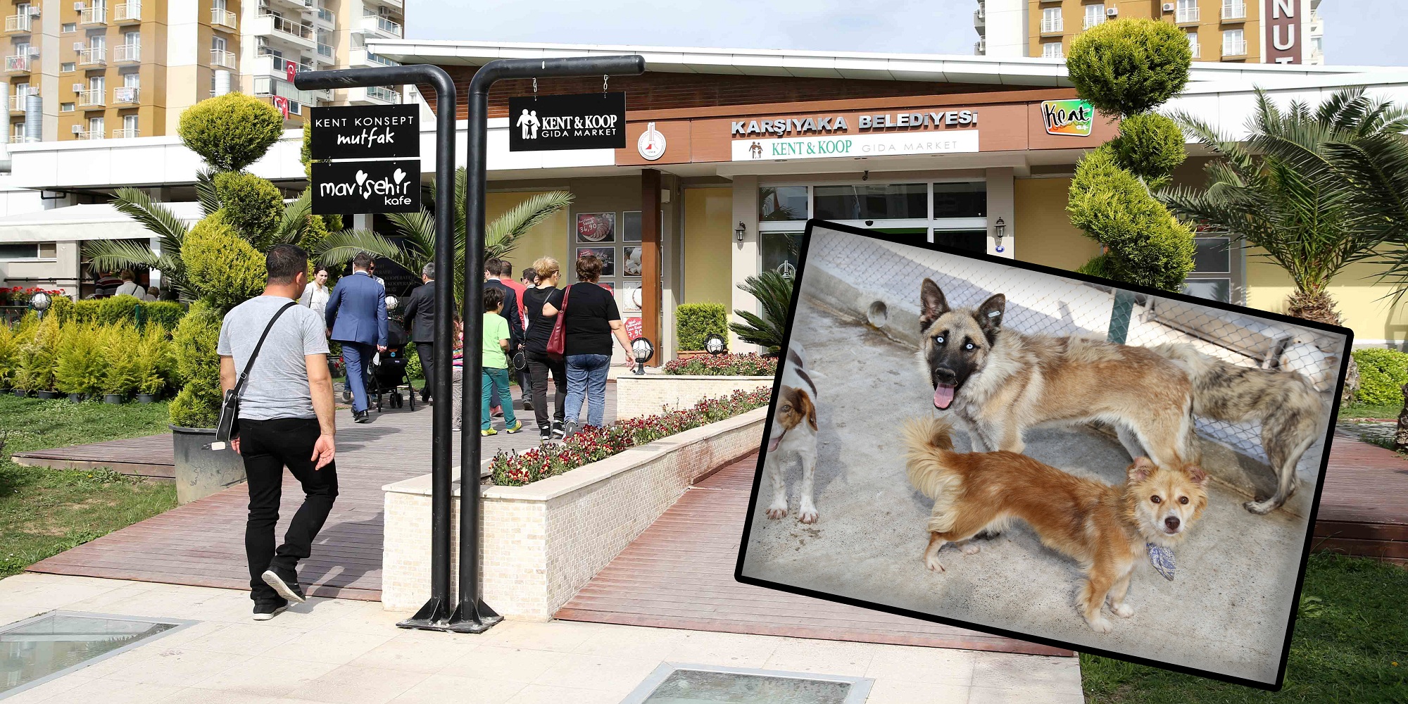 Karşıyakalılar yemeklerini can dostlarıyla paylaşıyor