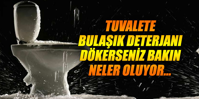 Tuvalete bulaşık deterjanı dökerseniz bakın neler oluyor...