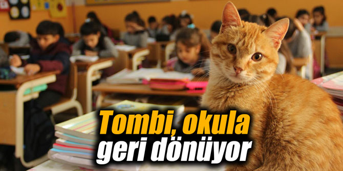 Tombi, okula geri dönüyor