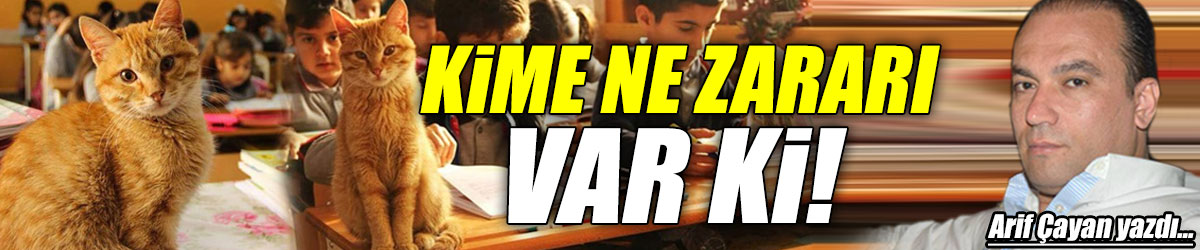 Kime Ne Zararı Var ki!