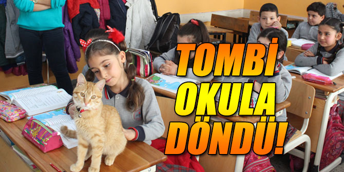 Kedi Tombi yeniden okula döndü