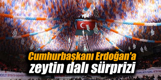Cumhurbaşkanı Erdoğan'a zeytin dalı sürprizi