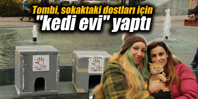 Tombi, sokaktaki dostları için "kedi evi" yaptı