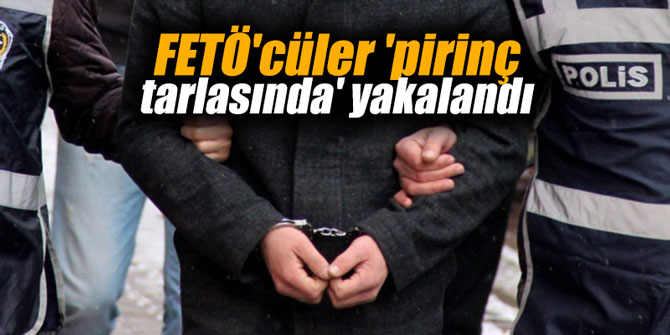 FETÖ'cüler 'pirinç tarlasında' yakalandı