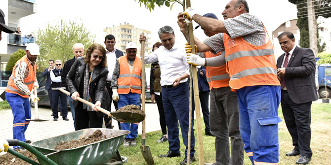Başkan Uysal turunç fidanı dikti