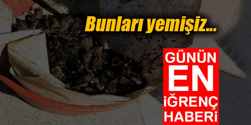 Günün en iğrenç haberi... Bunları yemişiz...