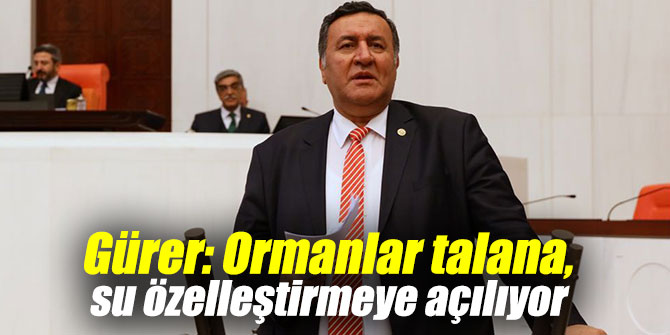 "Ormanlar talana, su özelleştirmeye açılıyor"
