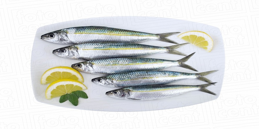 Ege'nin sardalyası var...