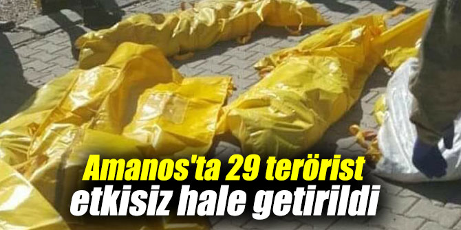 Amanos'ta 29 terörist öldürüldü