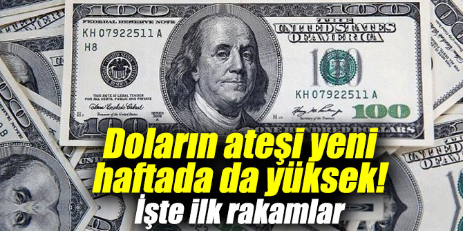 Doların ateşi yeni haftada da yüksek! İşte ilk rakamlar