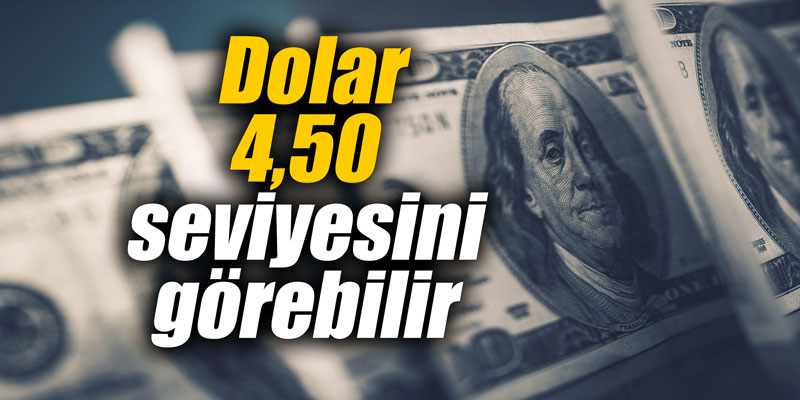 Dolar 4,50 seviyesini görebilir
