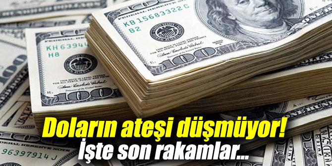 Doların ateşi düşmüyor! İşte son rakamlar...