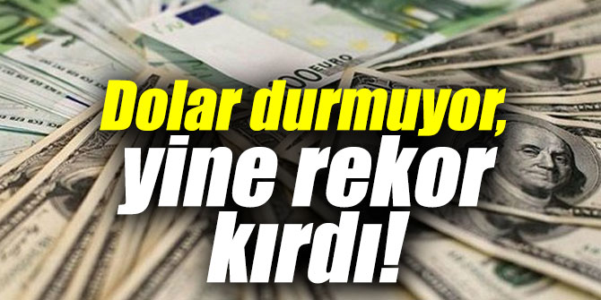 Dolar durmuyor, yine yeni rekor