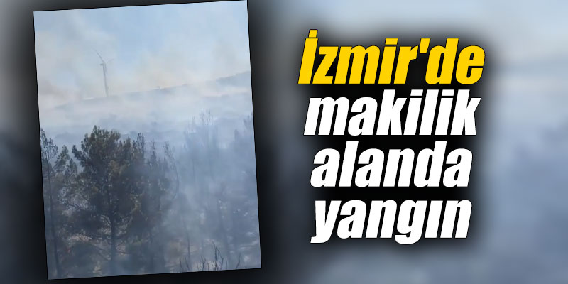 İzmir'de makilik alanda yangın