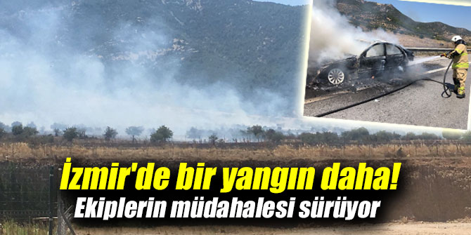 İzmir'de bir yangın daha! Ekiplerin müdahalesi sürüyor