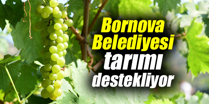 Bornova, tarımı destekliyor