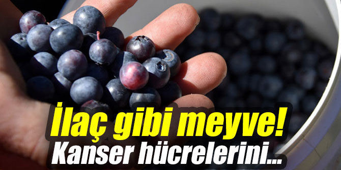 İlaç gibi meyve! Kanser hücrelerini...