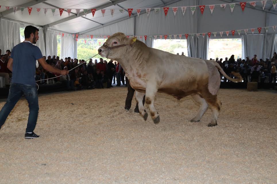 Bu fuar herkese kazandıracak