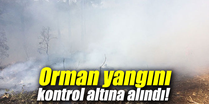Orman yangını kontrol altına alındı!