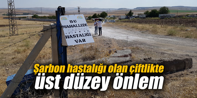 Şarbon hastalığı olan çiftlikte üst düzey önlem