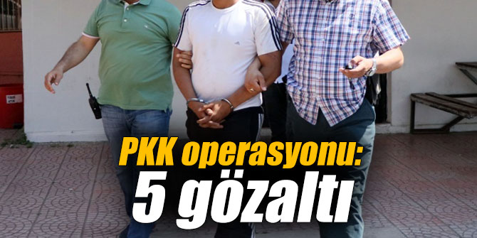 PKK operasyonu: 5 gözaltı