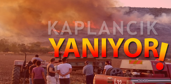 Ciğerlerimiz cayır cayır yanıyor