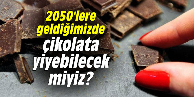 2050'lere geldiğimizde çikolata yiyebilecek miyiz?