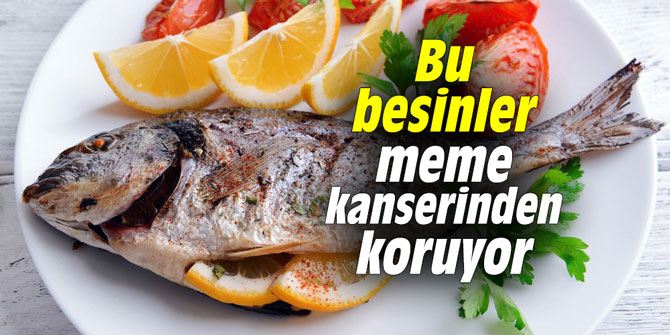 Bu besinler meme kanserinden koruyor