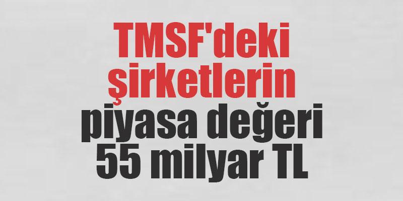TMSF'deki şirketlerin piyasa değeri 55 milyar TL