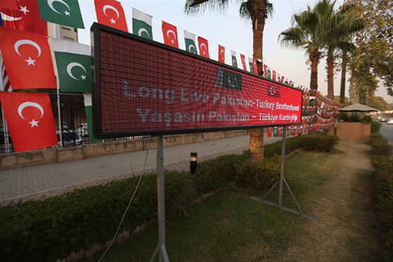 1-031.jpeg 1-031.jpeg